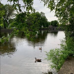 Meet your Posher, Ornina